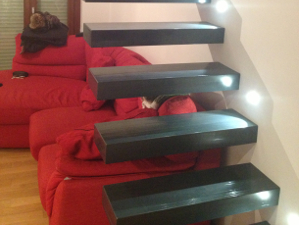 CCG S.R.L. Progettazione e Design Scale